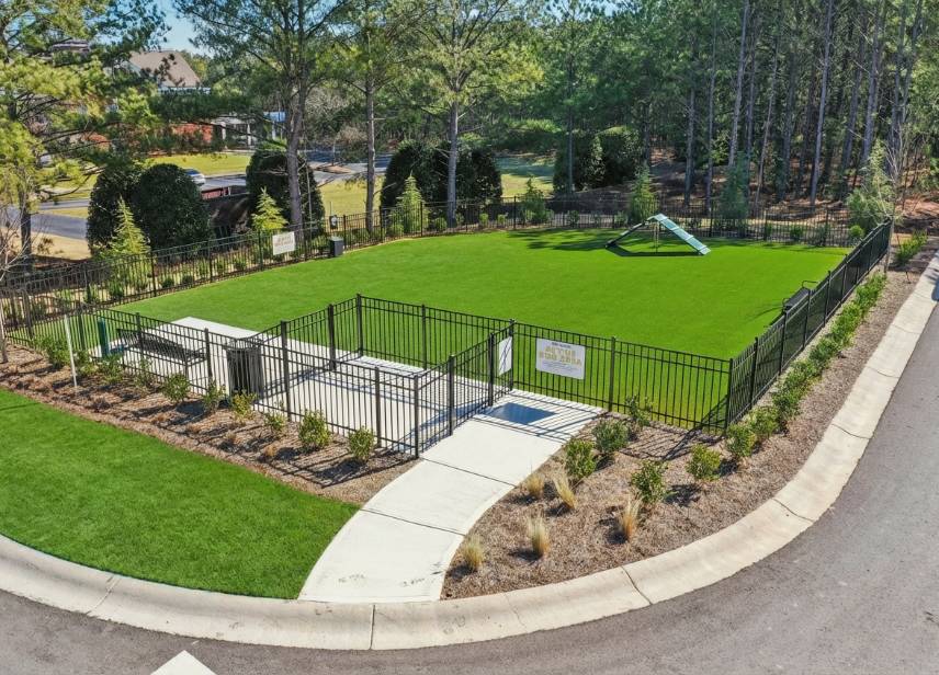 Future Dog Park-image